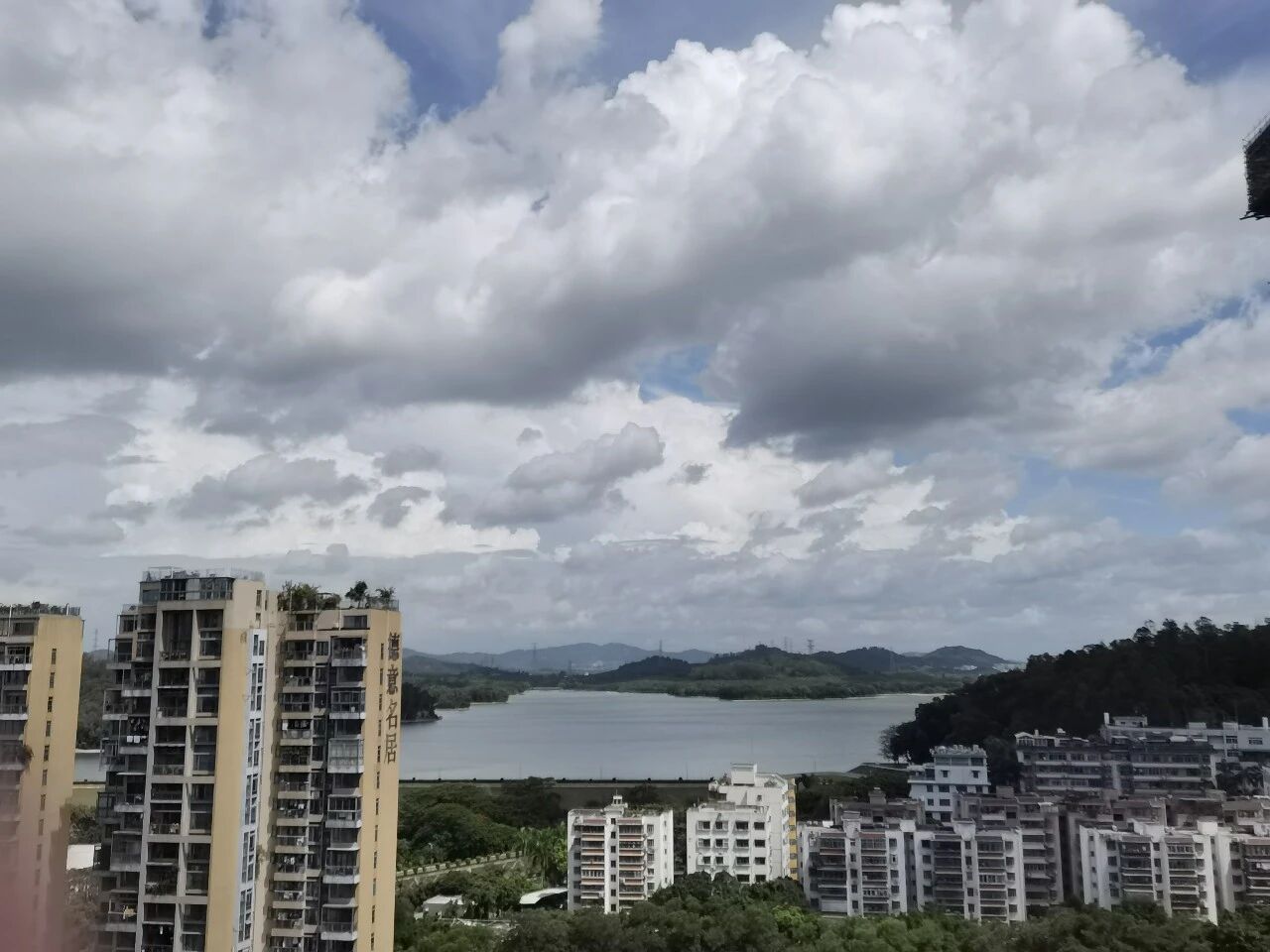 【青春语文·唐娟专栏】经历即收获——湿地大讲堂宣讲后记