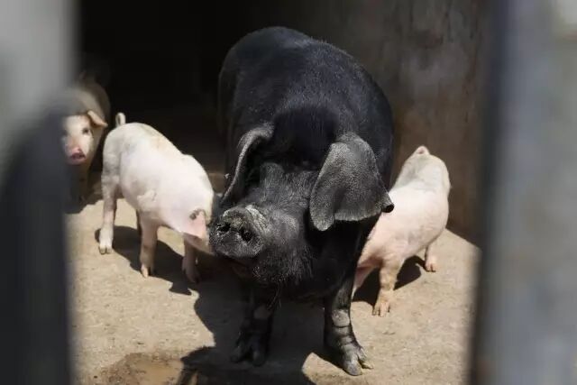 徐州这个地方一天玩个来回刚刚好！还有漂流、采摘、骑马和龙虾节在向你招手