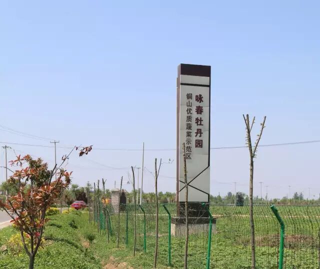 徐州这个地方一天玩个来回刚刚好！还有漂流、采摘、骑马和龙虾节在向你招手