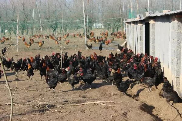 徐州这个地方一天玩个来回刚刚好！还有漂流、采摘、骑马和龙虾节在向你招手