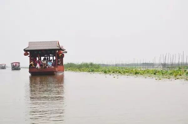 徐州这个地方一天玩个来回刚刚好！还有漂流、采摘、骑马和龙虾节在向你招手
