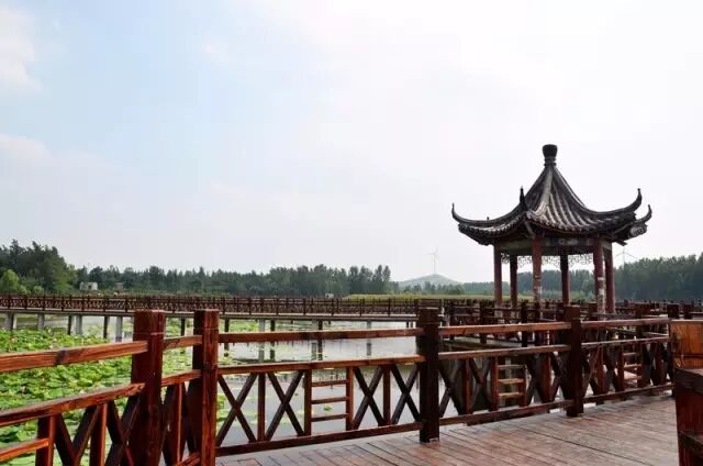 徐州这个地方一天玩个来回刚刚好！还有漂流、采摘、骑马和龙虾节在向你招手