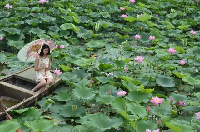 徐州这个地方一天玩个来回刚刚好！还有漂流、采摘、骑马和龙虾节在向你招手