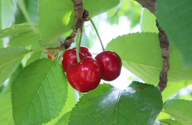 徐州这个地方一天玩个来回刚刚好！还有漂流、采摘、骑马和龙虾节在向你招手