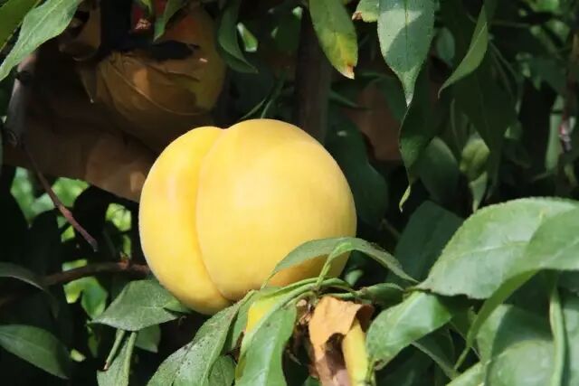 徐州这个地方一天玩个来回刚刚好！还有漂流、采摘、骑马和龙虾节在向你招手