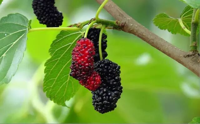 徐州这个地方一天玩个来回刚刚好！还有漂流、采摘、骑马和龙虾节在向你招手