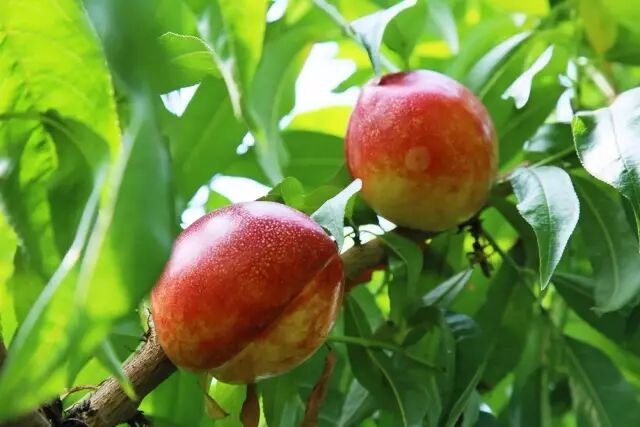 徐州这个地方一天玩个来回刚刚好！还有漂流、采摘、骑马和龙虾节在向你招手