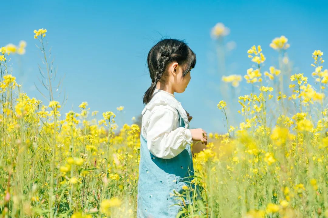 摄图网_507763059_banner_油菜花海中的女孩子（企业商用）.jpg