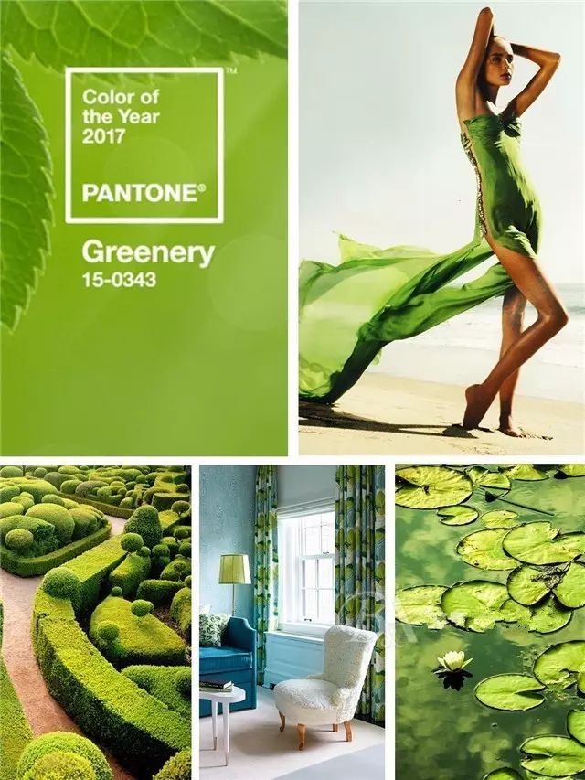 pantone2017年度流行色 草木绿