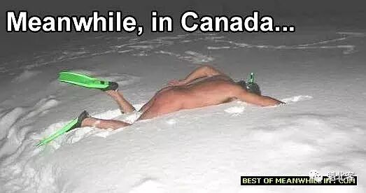meanwhile-in-canada-diving.jpg
