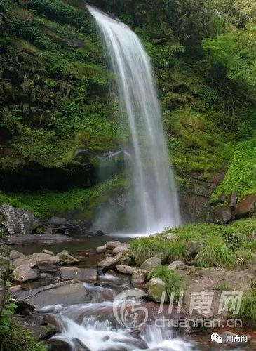 珙县四里坡森林康养基地