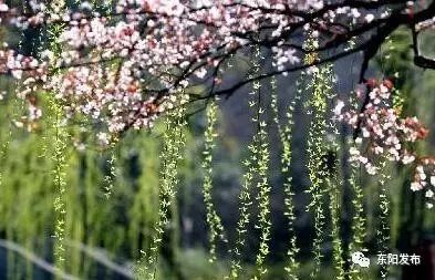 你与这个春天的距离,大概就差这一份春季乡村休闲旅游节指南而...