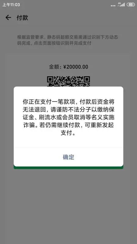 你正在支付的一笔款项，付款后资金将无法退回，请谨防补发分子以缴纳保证金、刷流水..........