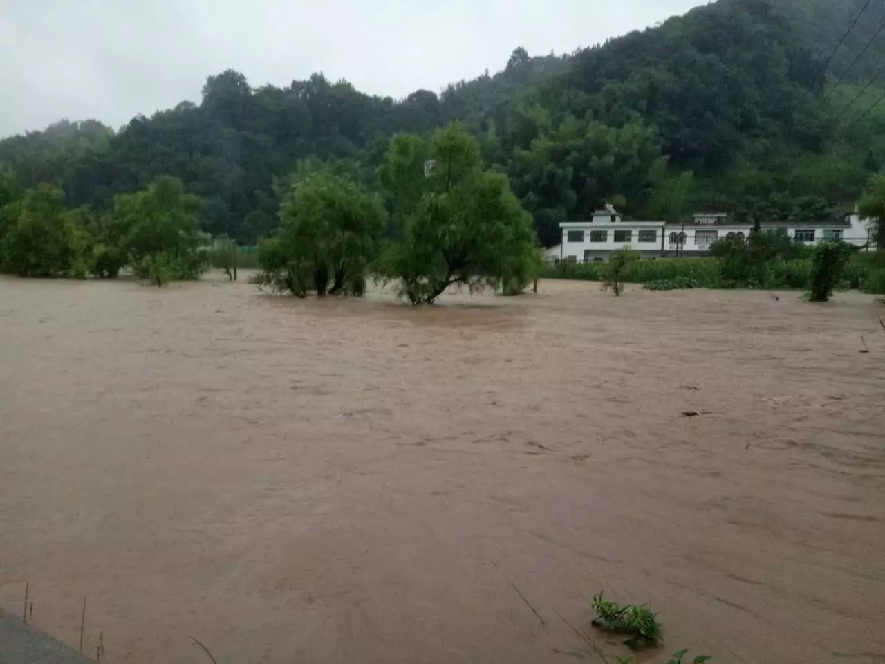 汶川地震地质与滑坡灾害概论_滑坡灾害_黄土滑坡灾害研究