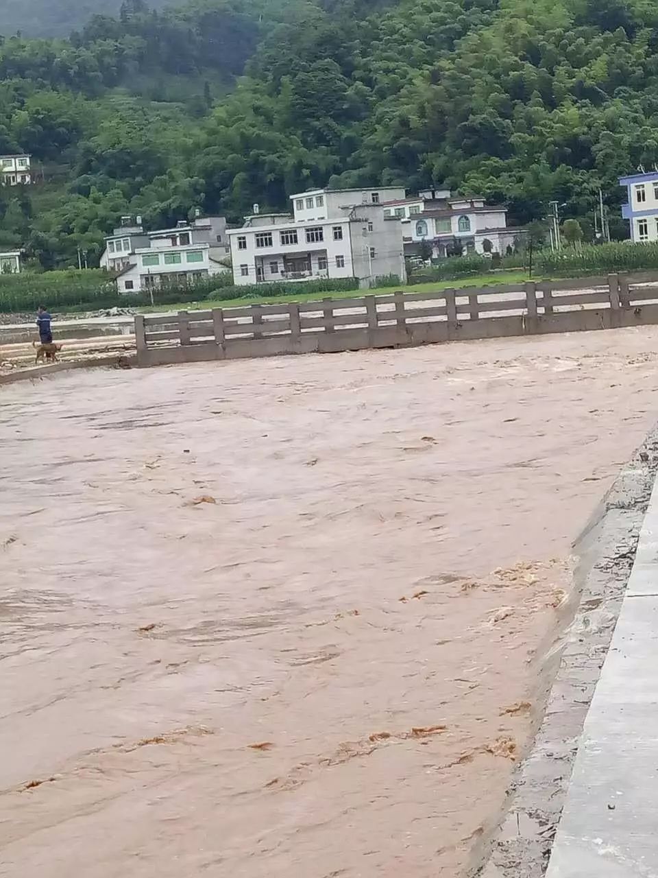 滑坡灾害_黄土滑坡灾害研究_汶川地震地质与滑坡灾害概论