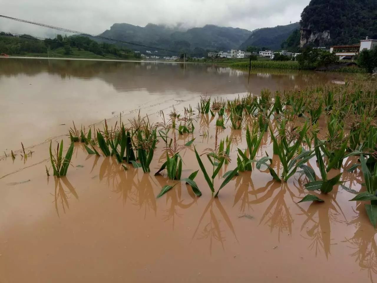 滑坡灾害_汶川地震地质与滑坡灾害概论_黄土滑坡灾害研究