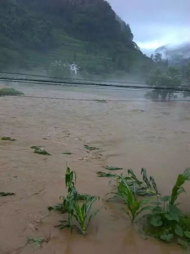 滑坡灾害_黄土滑坡灾害研究_汶川地震地质与滑坡灾害概论