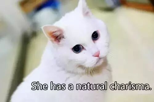 你超想知道的日常口语神翻译 马上学起来