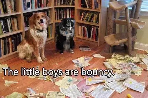 你超想知道的日常口语神翻译 马上学起来