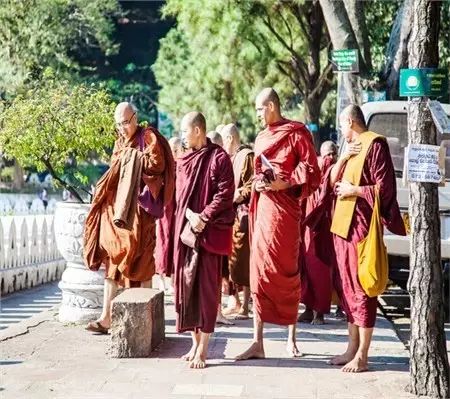 【海外游】斯里兰卡哪些景点最值得去?