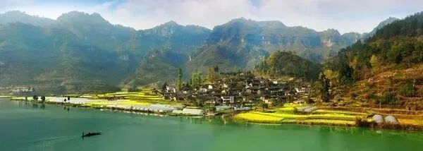 【活动报名】第九届社会生态农业大会｜报名入口及种子招募