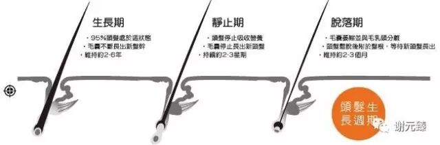 吃159之后掉发严重？