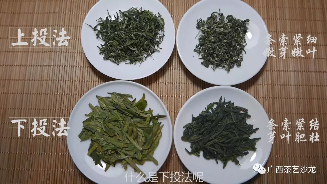 【茶艺视频】绿茶冲泡——下投法
