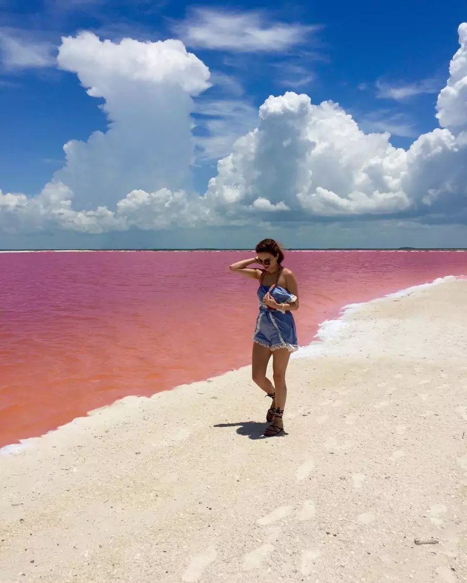 Las Coloradas 粉色的海 少女心们必去之地 自由微信 Freewechat