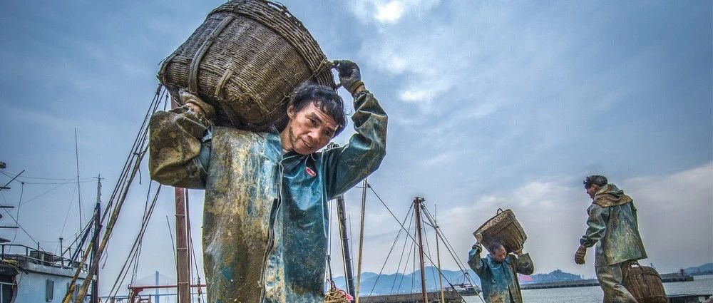 第四届“大美渔村 平安渔业”中国渔业征稿启事