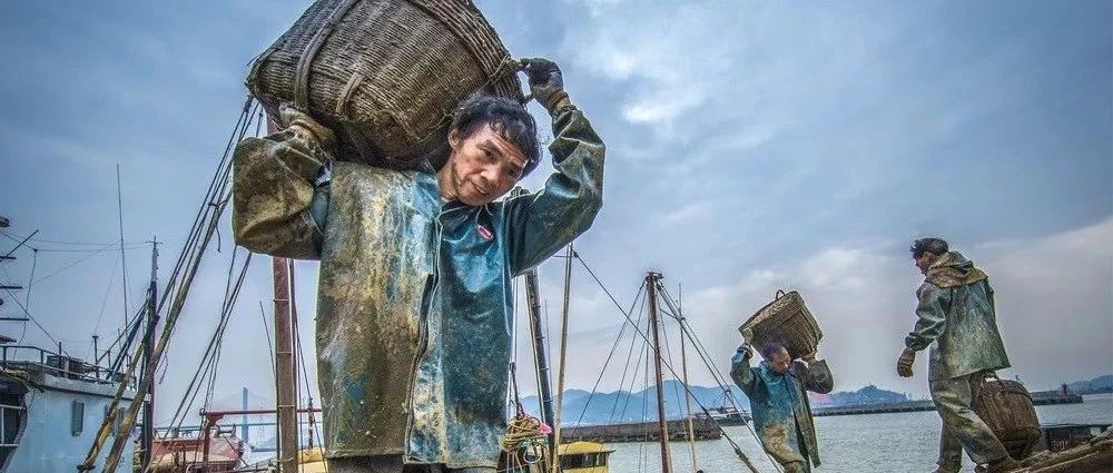 征稿｜第四届“大美渔村 平安渔业”中国渔业征稿启事