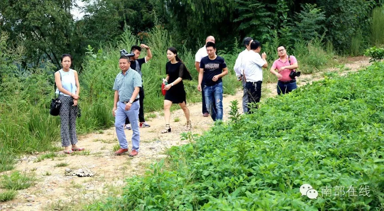 楠木镇金垭村富硒花生稻谷产业园掠影