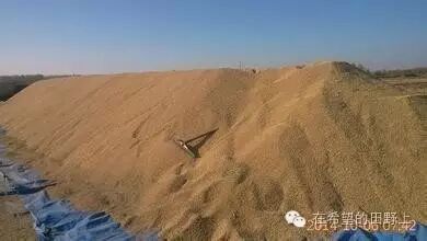 大豆价格最新行情_最新大豆价格走势_最新的大豆价格