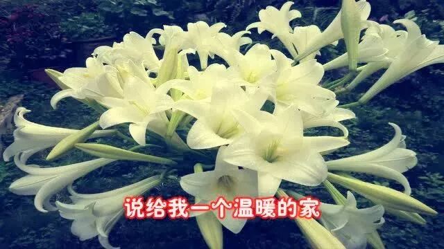 陈玉建一首《谁能给我温暖的家》好听至极!