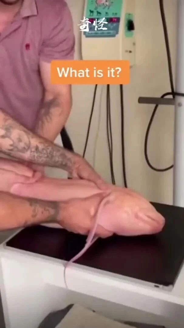 实拍 ▪ 一条奇怪的肉色鱼