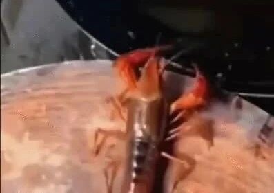 实拍 ▪ 我不下地狱谁下地狱