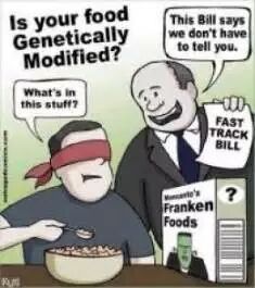 美国的转基因食物