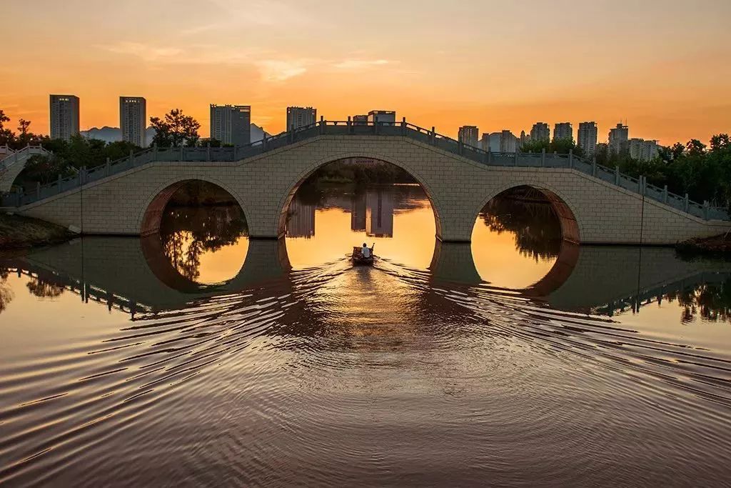 九龙湖 今天, 邀你一同 观南方千姿百态 赏温岭七种品质 ▽