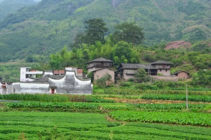 闽清云龙乡际上村