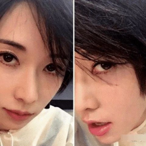 林志玲剪掉了留了20年的长发,看到照片后,网友:日本家教这么严?