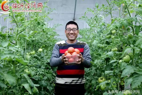 种植创业项目_种植创业项目的理由_种植创业项目的理由怎么写