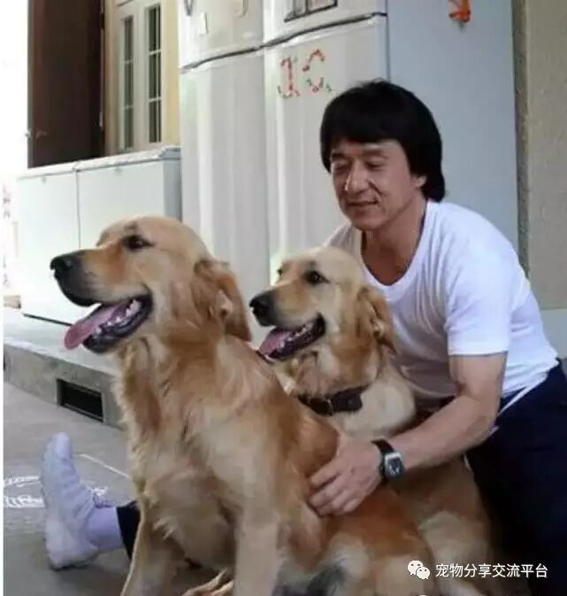 成龙——我的狗狗你给我多少钱我都不会卖!