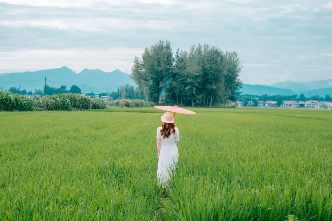 人间朝暮，慢慢散步