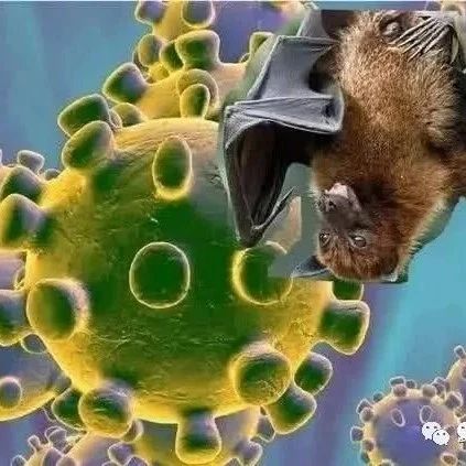 黄卫东：评新冠病毒来源于蝙蝠猜想的科学性与影响