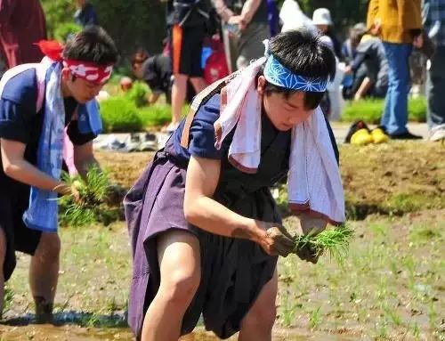 借鉴优质村庄规划经验材料_村庄规划经验做法_村庄规划经验总结