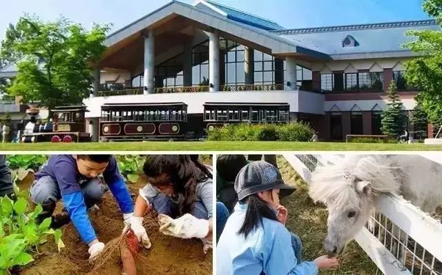 村庄规划经验总结_借鉴优质村庄规划经验材料_村庄规划经验做法