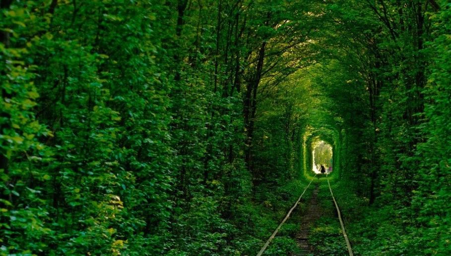 收录于合集⭐美到令人窒息 :《经典轻音乐50首》