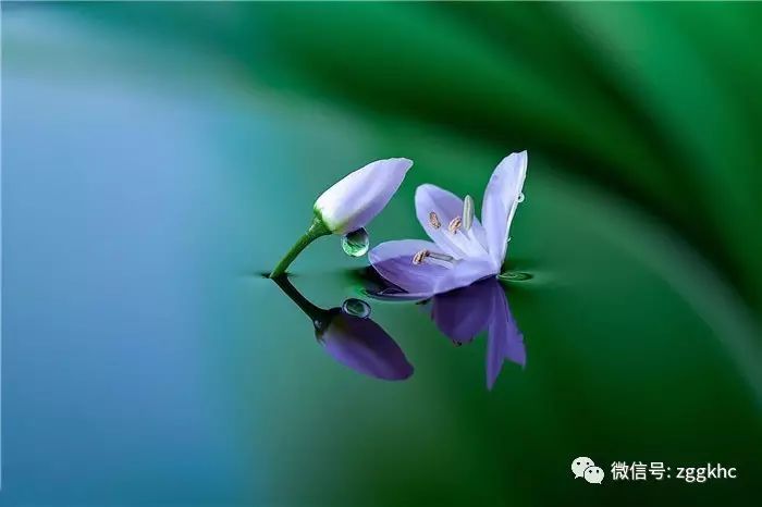 【荐读】世间十恩须铭记