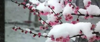 【中华诗词1001夜】第140夜 杨子解词