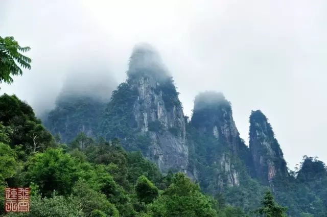五指峰还有一座瀑布,落差约二百米,如同千尺素绢半空悬挂,在几公里以