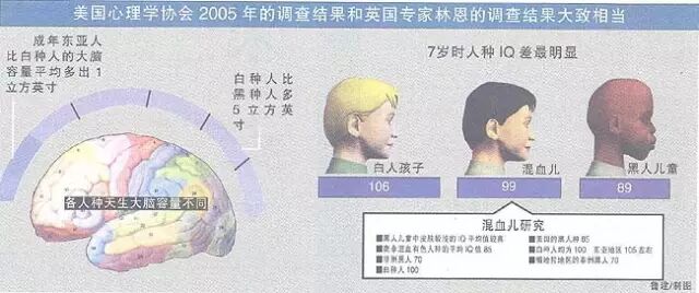 中非通婚阴谋，灭汉族，脑力退化80万年！
